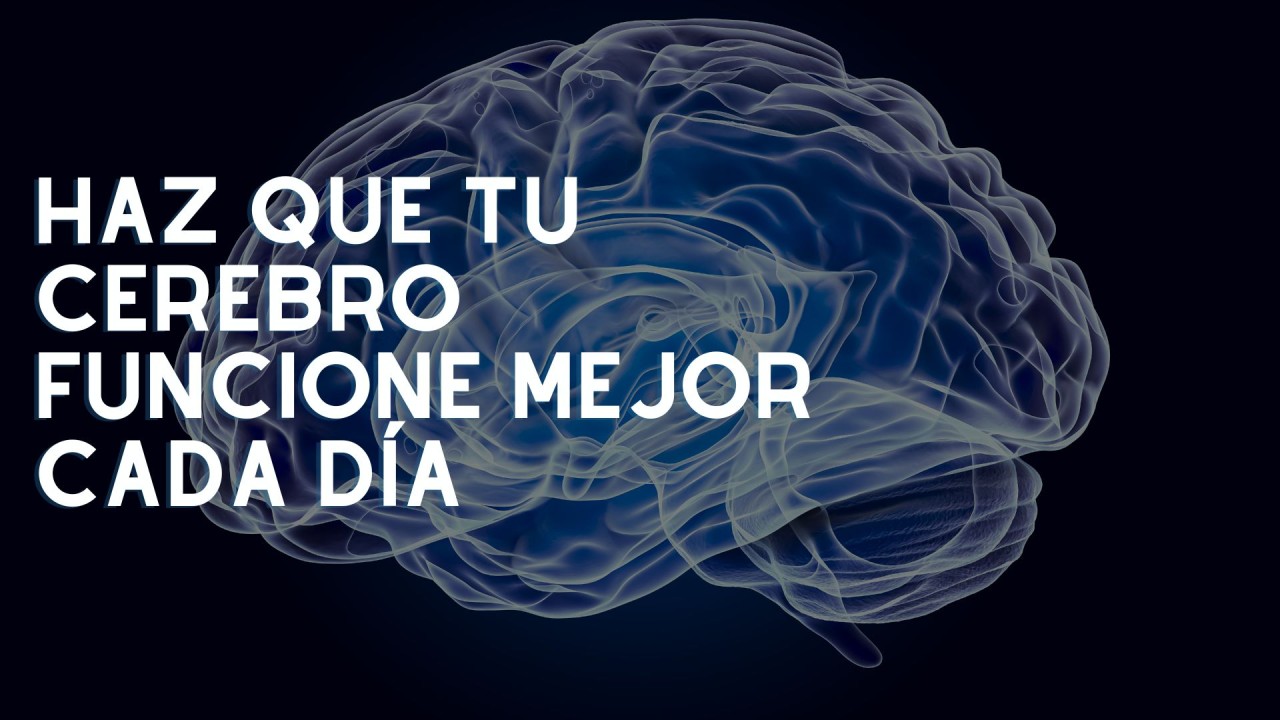 Haz que tu cerebro funcione mejor cada día.