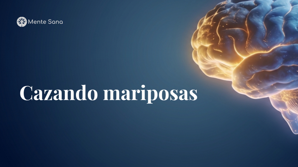 Cazando mariposas